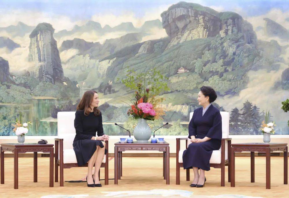 彭丽媛同芬兰总统夫人苏珊娜茶叙