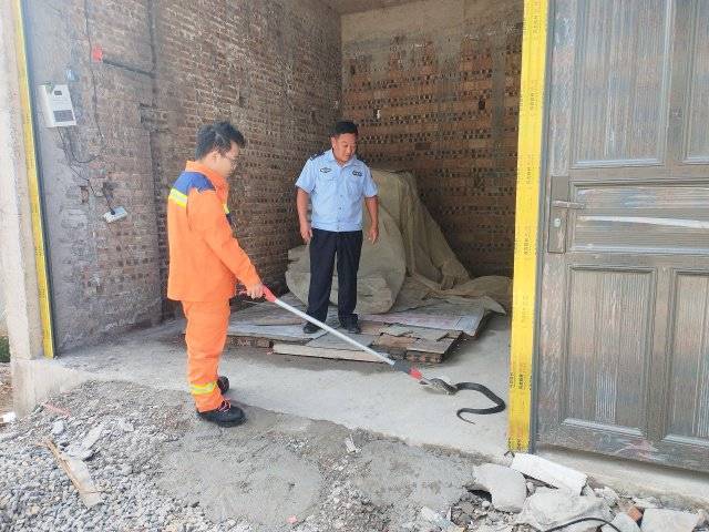 1.5米长眼镜蛇“闯入”居民家中，曲靖民警消防联手捕获