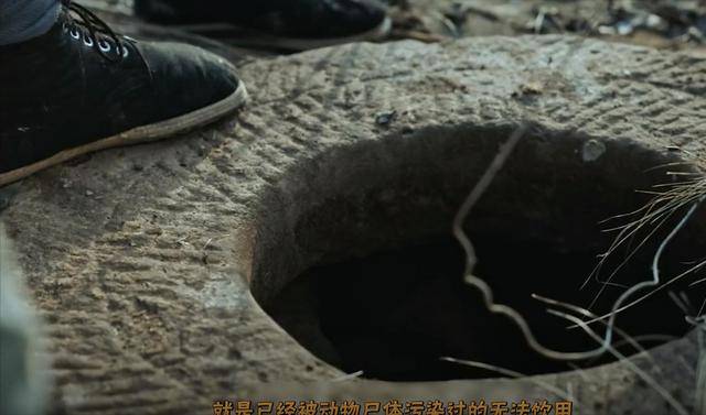 抗日神剧惊现逆天整容脸，主演导演都她一人，胡编程度堪称史诗级