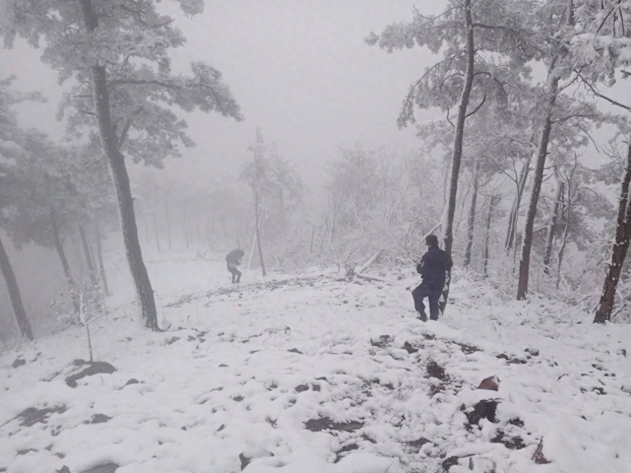 出事了！资深“驴友”赏雪被困3小时，警方提醒：非必要不上山