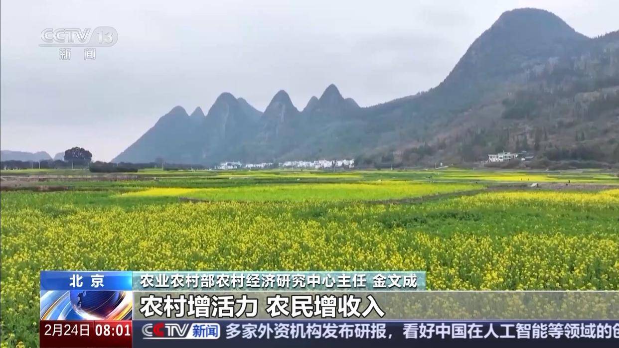 中央一号文件发布，有何新亮点？