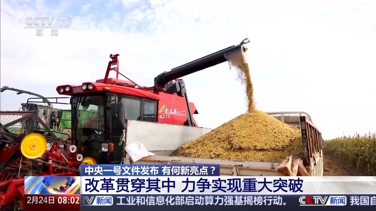中央一号文件发布，有何新亮点？