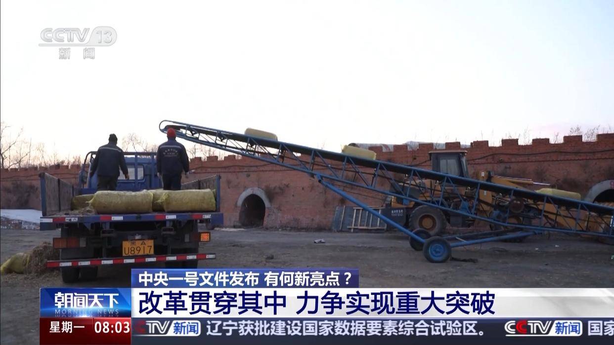 中央一号文件发布，有何新亮点？