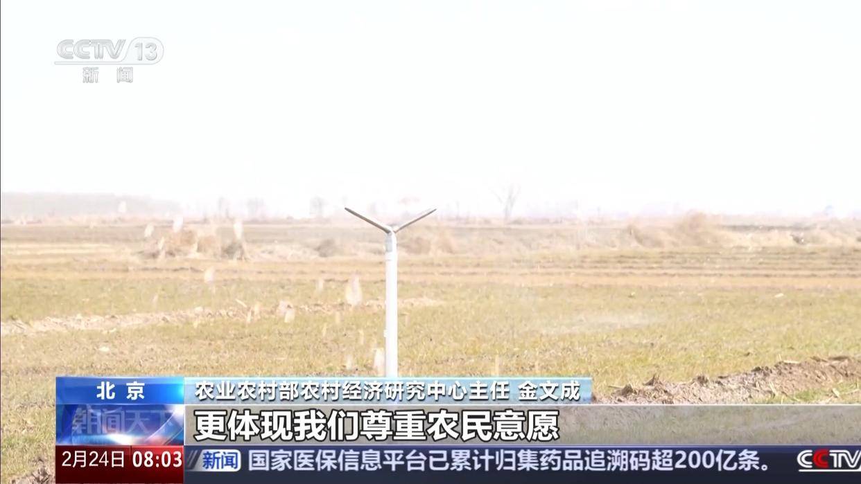 中央一号文件发布，有何新亮点？