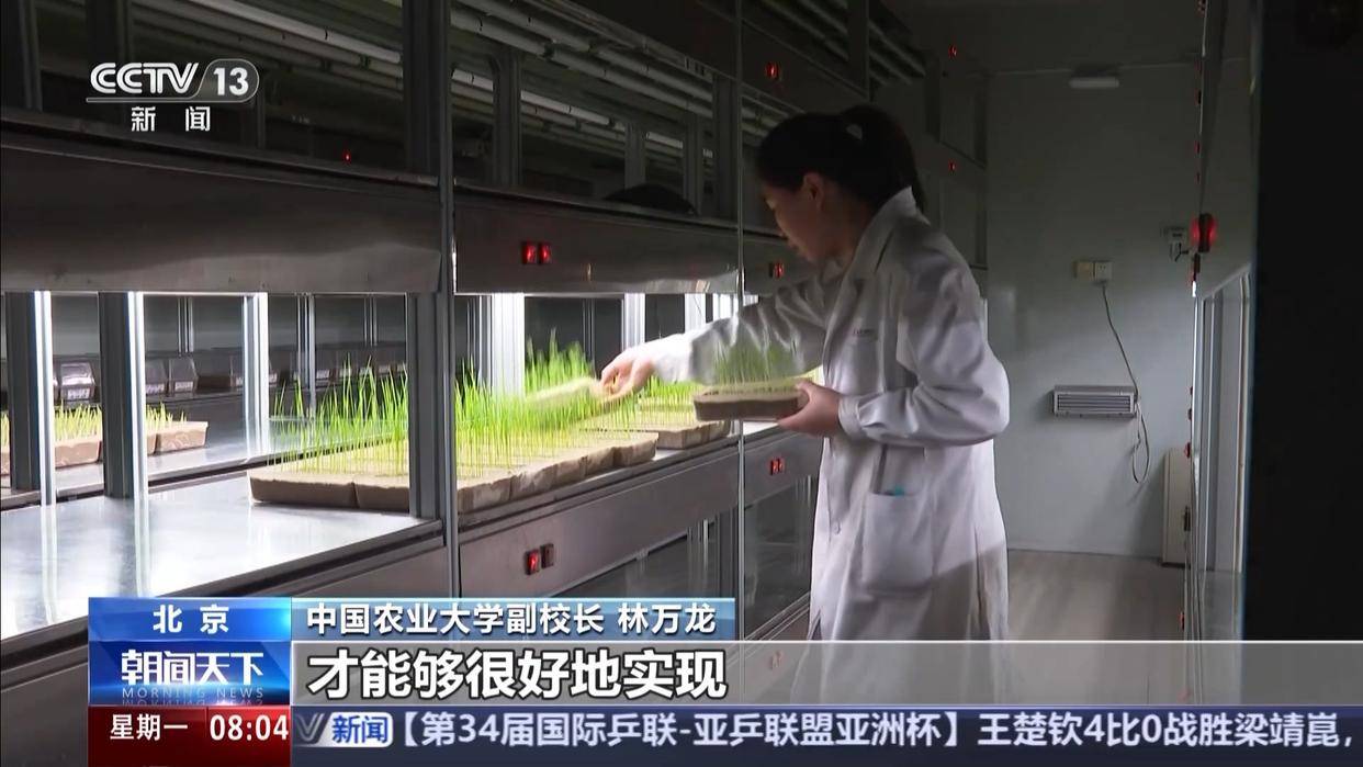 中央一号文件发布，有何新亮点？