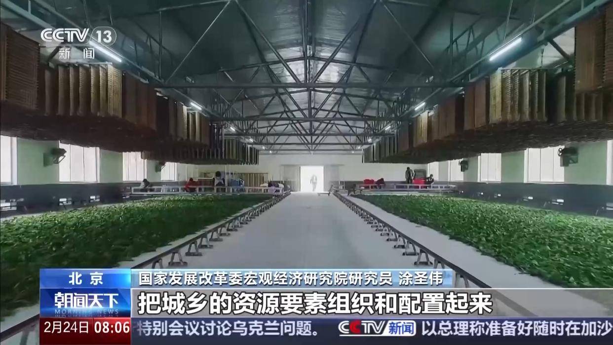 中央一号文件发布，有何新亮点？