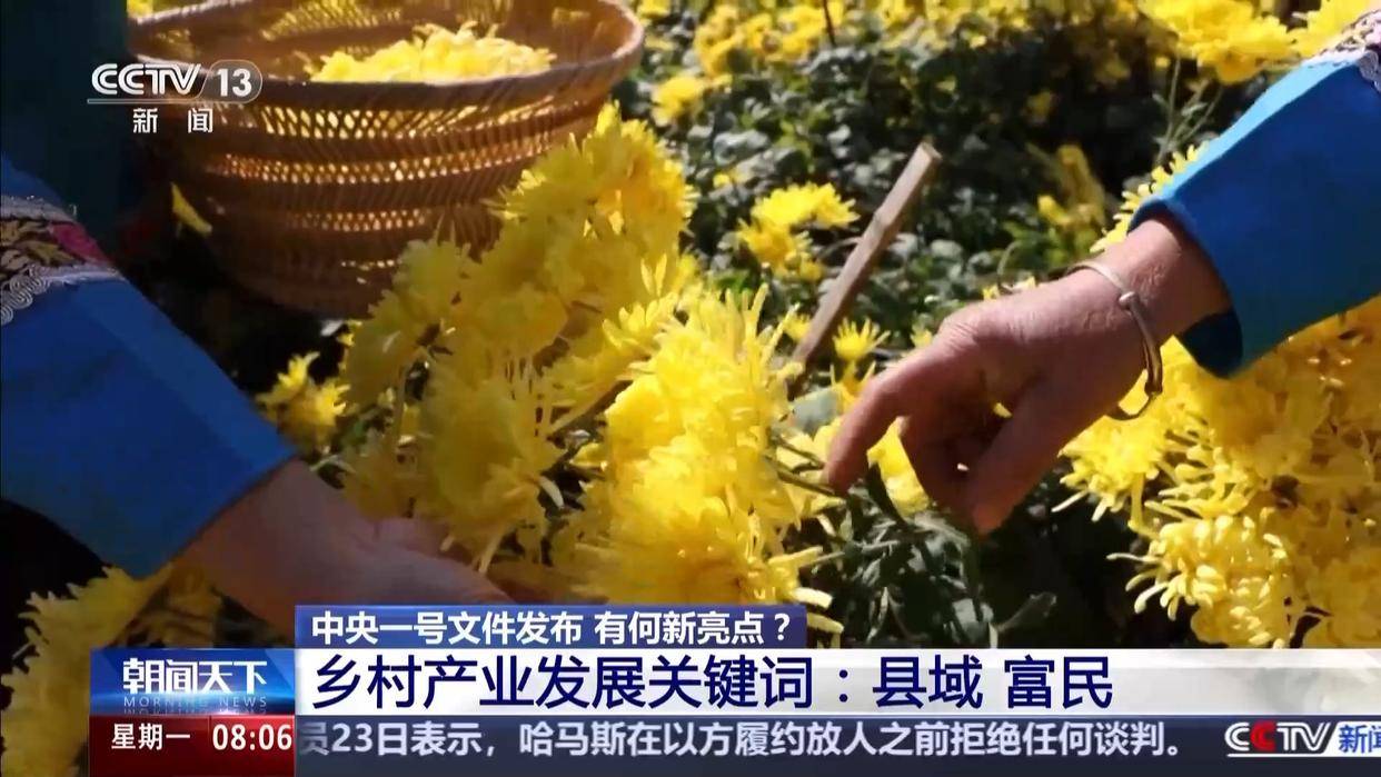 中央一号文件发布，有何新亮点？