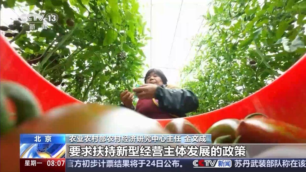 中央一号文件发布，有何新亮点？