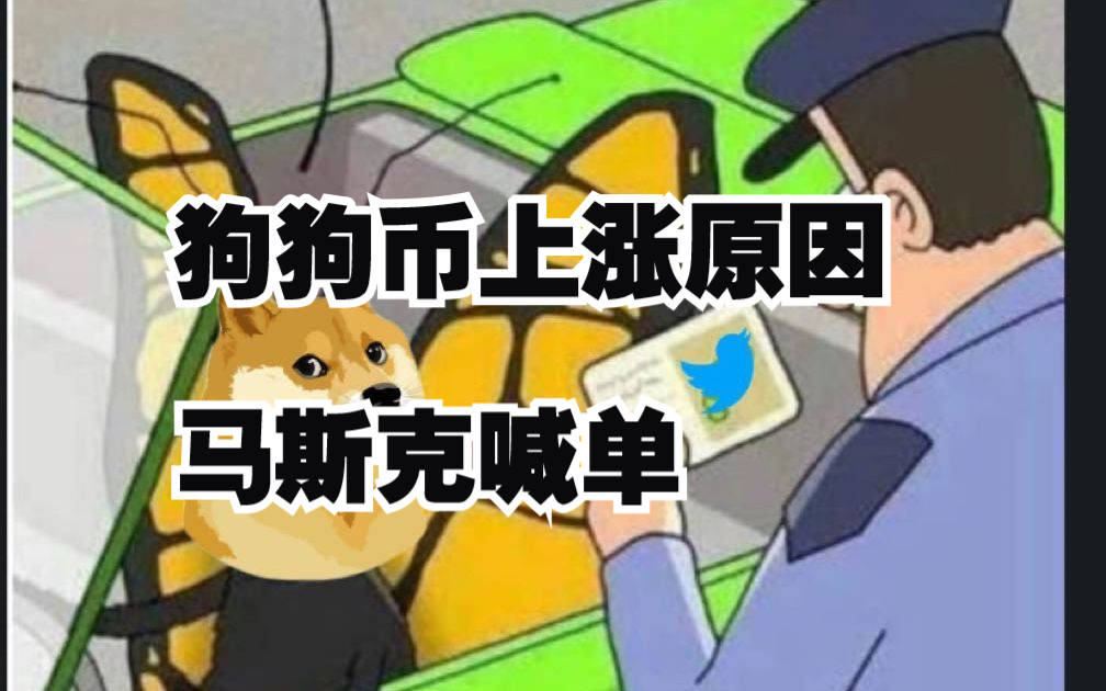 xrp马斯克点名狗币的简单介绍