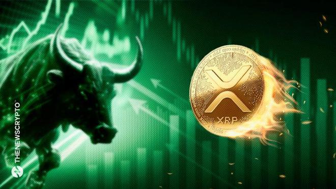 XRP全球社区(xrp coin)