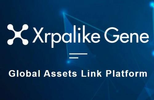 挖xrp(notebookp65xrp)