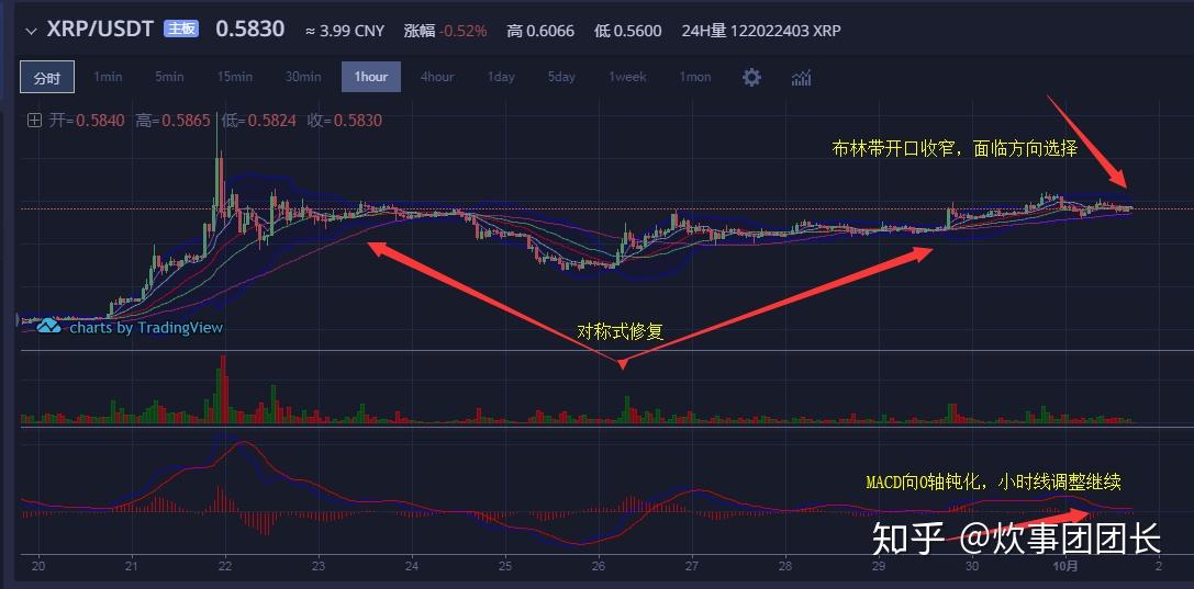xrp前景知乎(xrp以后能涨到多少)