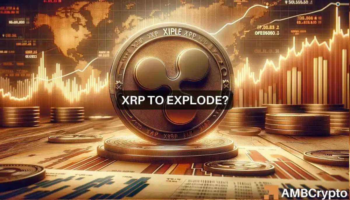 包含搬砖xrp哪个交易所比较好的词条