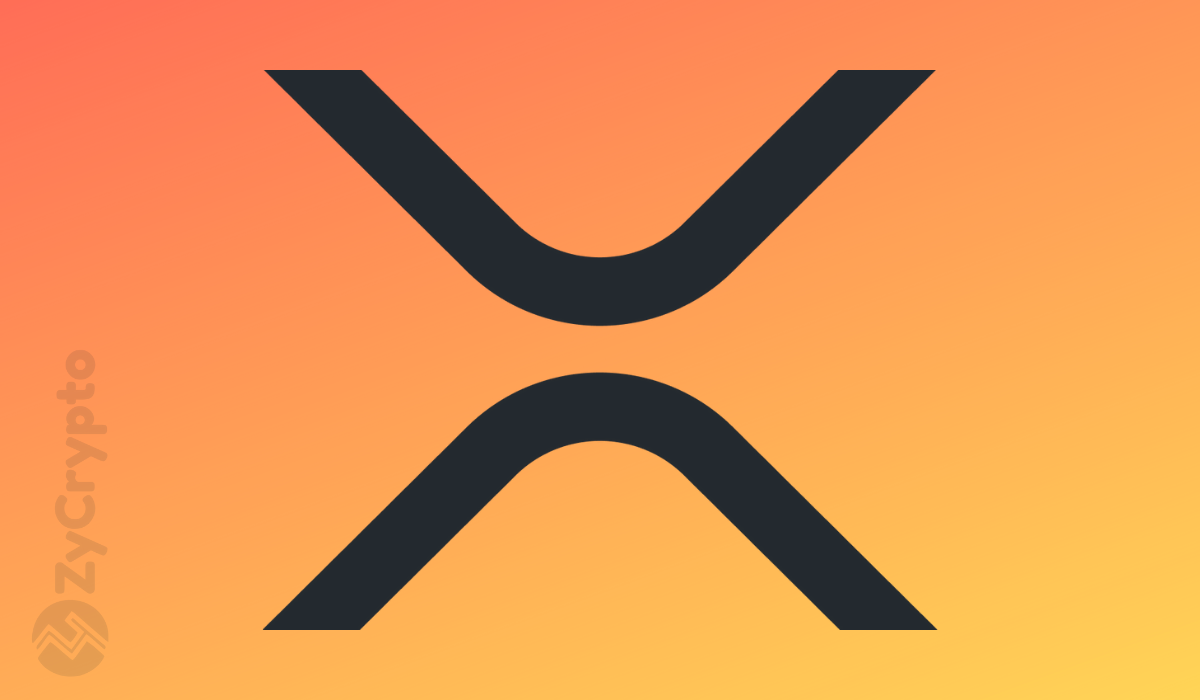 XRP全球社区(xrp社区最新消息)